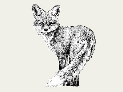 Dotwork Fox