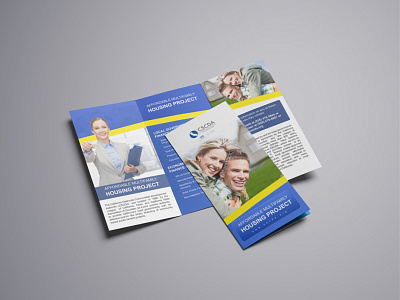 Brochure Design print design