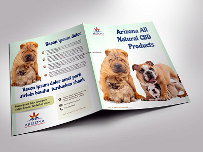 Pet Brochure Design print design