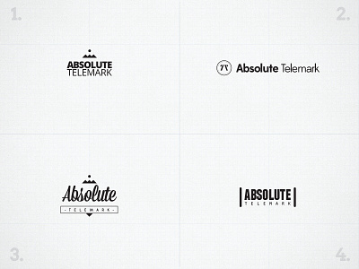 Absolute Telemark logo