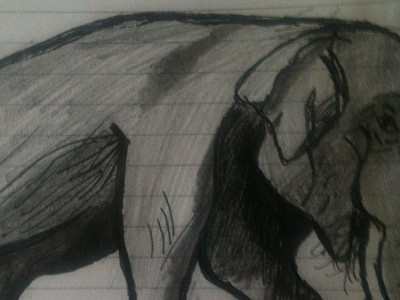 Elephant drawing pencil