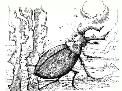 A beetle from the graphic set of insects beetle black white character graphic illustraion ink inked natimade nature tatto