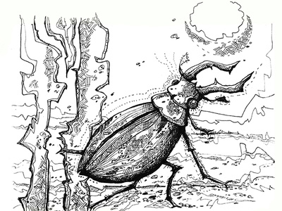 A beetle from the graphic set of insects