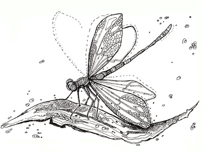A dragonfly from the ink set of insects 2d black and white character dragonfly flat graphic illustration ink inked insect natimade sticker