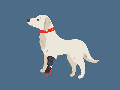 Veterinary clinic 2d app character dog flat icon illustration natimade sticker veterinary