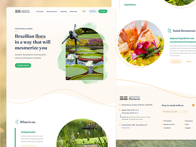 Plantarum Website figma ui webdesign website