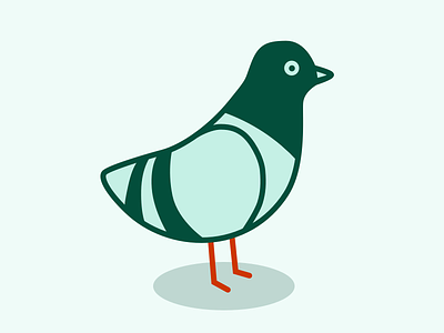 Pigeon icon illustration pigeon vector