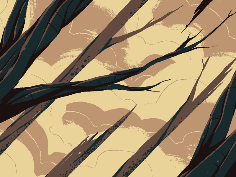 "Trees" art illustration digital art graphic design photoshop texture crop clouds trees
