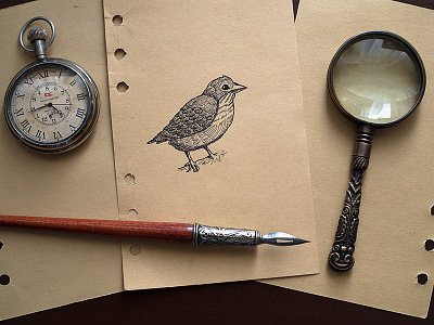 Little bird / Pen & Ink bird drawing illustration penandink sketch