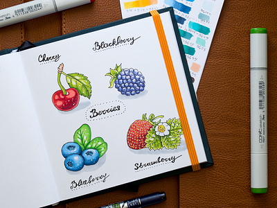 Berries Illustration / Copic Markers berries copic copics illustration markers sketch