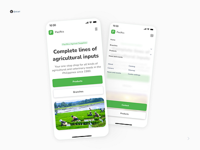 Pacifica Agrivet Web Redesign design figma responsive design ui ui design ux ux design web web design website