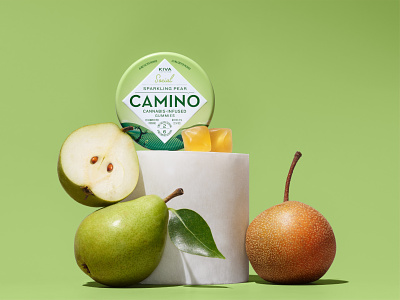 Camino Flavr branding cannabis cannabis packaging edible illustration packaging san francisco stout