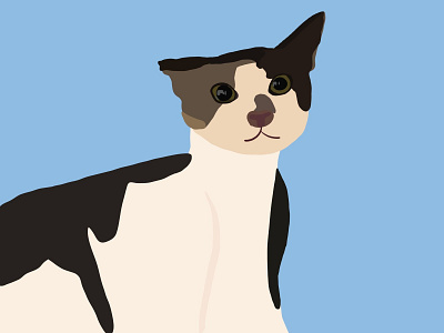 Black and brown cat by snacks_matter 3d animation app art branding design flat graphic design icon illustration illustrator logo minimal motion graphics typography ui ux vector web website