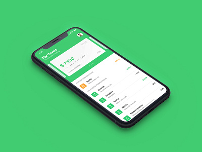 iOS Finance App app credit design finance green iphone mobile money transaction type ui ux