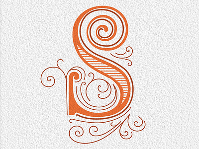 S graphic design hand drawn letters illustrator lettering letters type typography vector