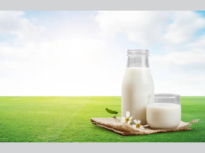 Milk banner design graphic design illustration