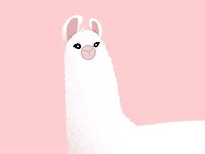 Llama me