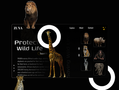 "Protect Wild Life" |UI&UX Design| ui ux