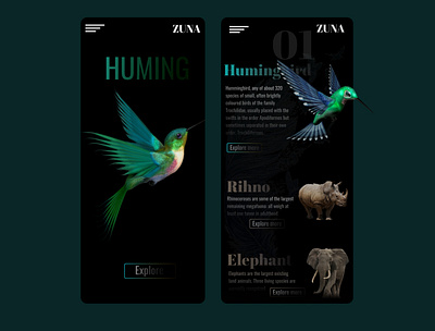 "Huming Bird" App Design app ui ux