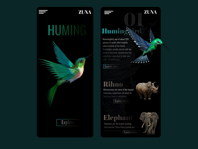 "Huming Bird"
App Design