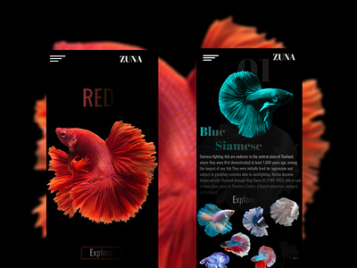 "RED"
App Design