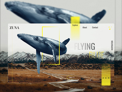 Flying Blue app design graphic design ui ux
