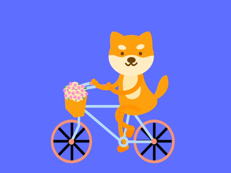 Shiba Cycling 2d ae animation bike dog flower spring