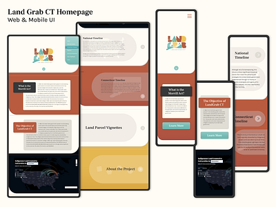 Land Grab CT Homepage UI