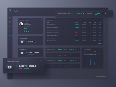 OpenFinance - Profile View