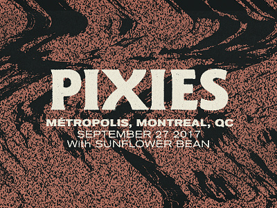Pixies Type Lockup gig poster noise texture type warp