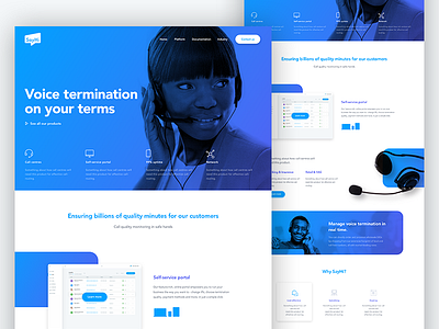 Voice termination service landing page.