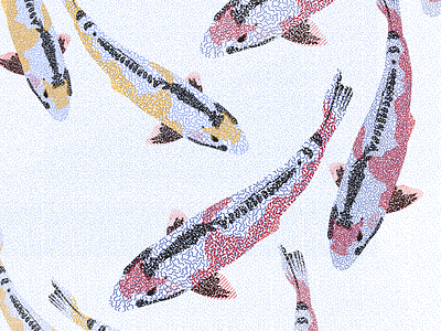 Koi - experimenting with patterns