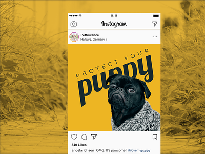 Pet Insurance Instagram Post adv dailyui instagram post insurance pet