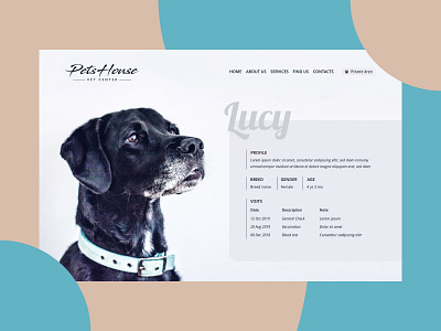 Profile dailyui dailyuichallenge dog profile vet website