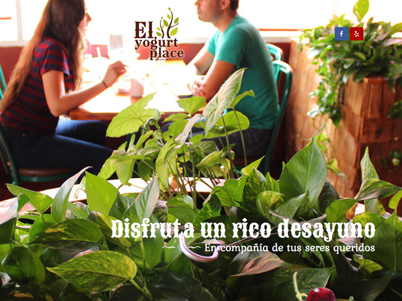 El Yogurt Place méxico tijuana restaurant graphic design web design