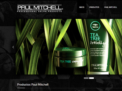 Paulmitchell design web