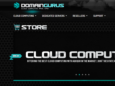 Domaingurus branding cloud computing e commerce hosting web design wordpress