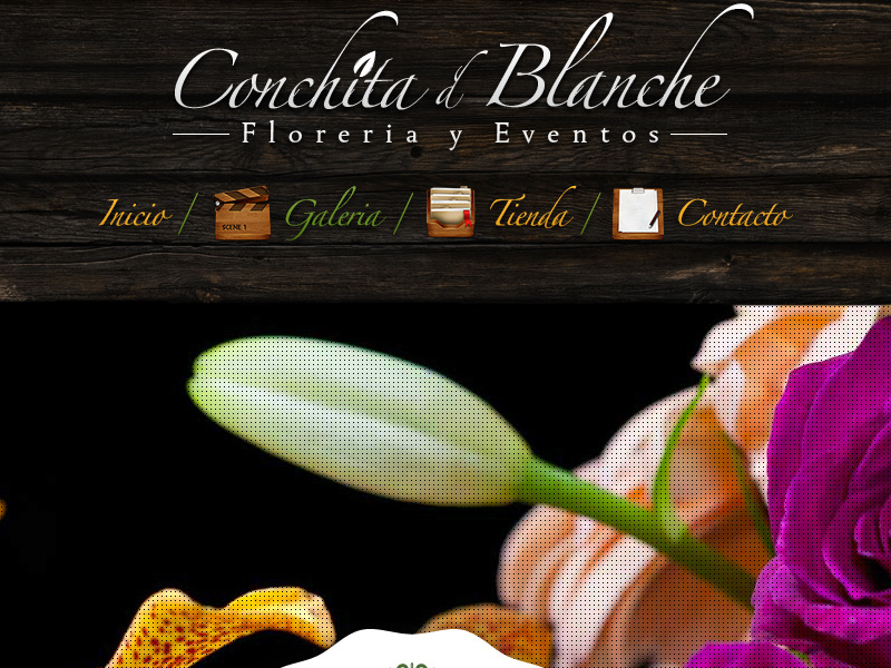 Conchita d' Blanche woocommerce wordpress e-commerce seo web design