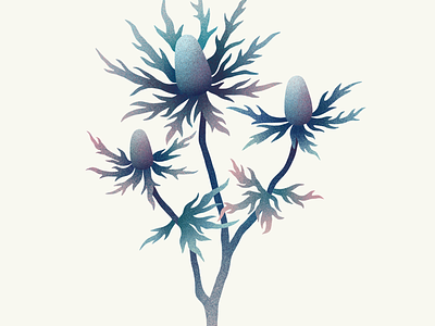 Flowers digital illustration