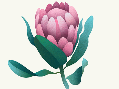 Flower digital illustration