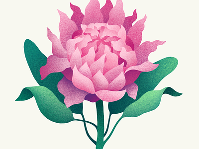 Flower digital illustration flower