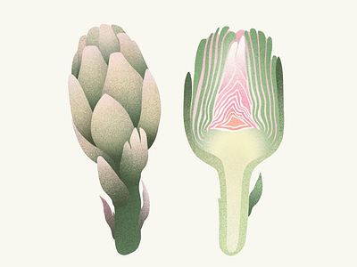 Artichoke