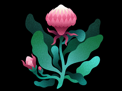 Flower art black design digital flower illustration