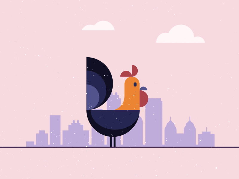 Rooster 2d animal animation character farm gif illustration loop looping gif rooster