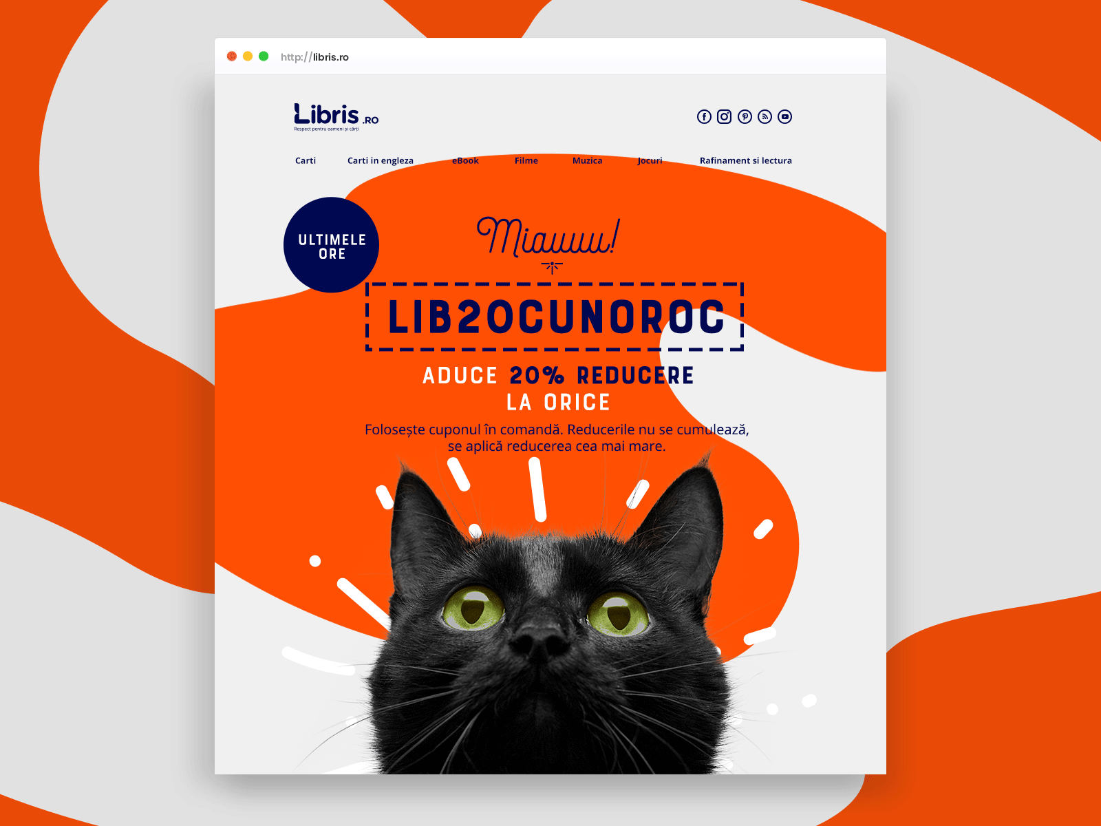 Newsletter Design - Lucky Cat animal illustration cat cat eye design discount ecommerce email email marketing newsletter ui design