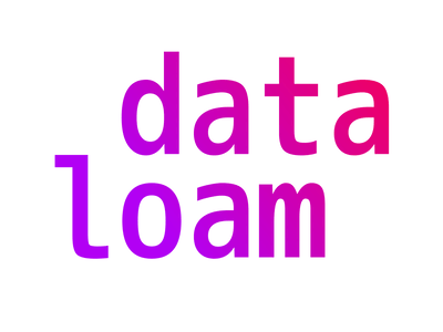 Dataloam icon