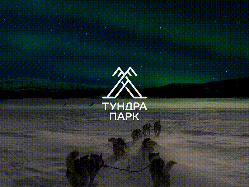 Logo for Tundra Park (reindeer and Sami traditions) brand brandidentity branding cinemagraph cinemagraphs logo logotype nordic north symbol typography