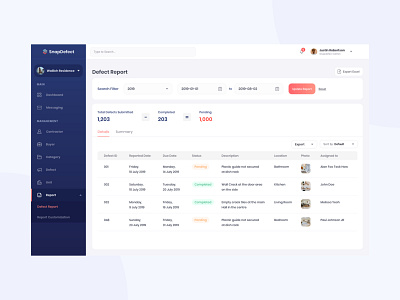 Snap Defect Report Details analytics dailyui dashboard data portal property ui ux web design