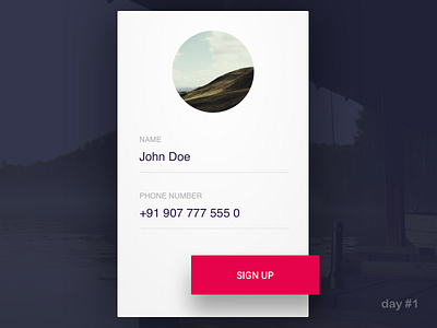 Day #1: Signup 001 dailyui signup