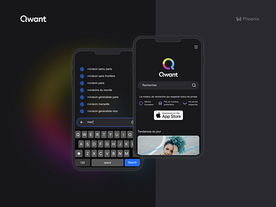 Qwant Dark Mode Phoenix